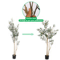 Decorative olive plant 180cm for indoor spaces