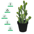 Decorative faux ear cactus for office spaces