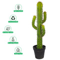 Lifelike Decorative Cactus Plant