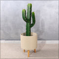 Nearly Natural decorative finger cactus plant