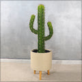 Nearly Natural Decorative Finger Cactus