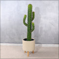 Nearly Natural Decorative Finger Cactus