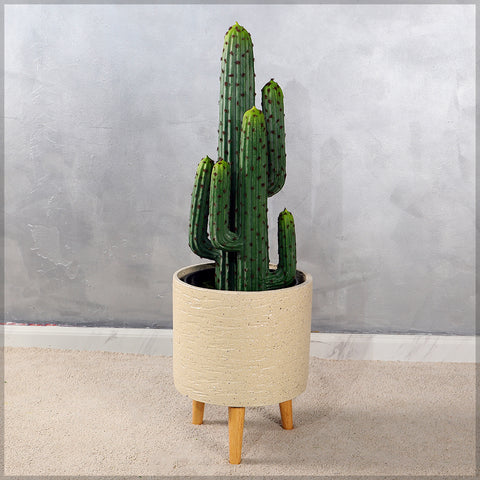 Artificial Desert Thorn Ball Cactus