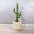 Faux desert cacti plant for home decoration