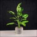 Decorative evergreen faux bunch leaves for stylish indoor arrangements