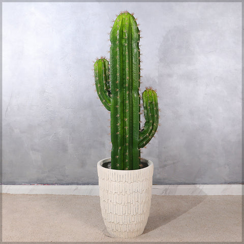 Nearly natural decorative finger cactus plant