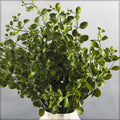 Small artificial leaves to buy