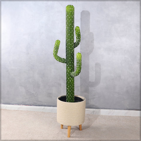 Faux desert cacti plant for home decor