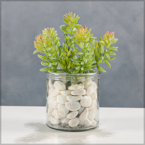 Faux sedum succulent plant