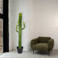 Realistic desert cactus for modern home interiors