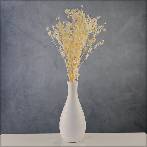 White Natural Dried Flower for Flower Arrangement