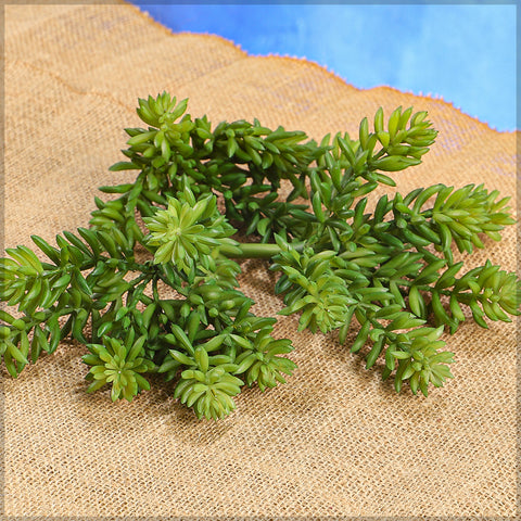 Artificial Sedum Pick Succulent Plant