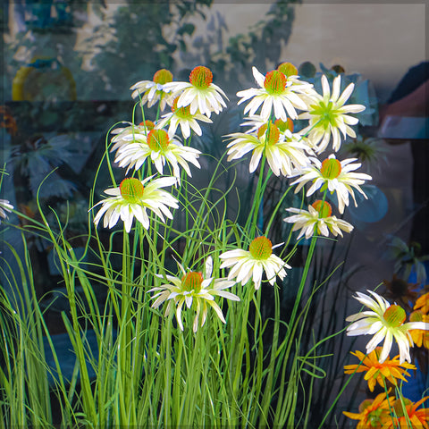 Artificial Grass Plant with Lifelike Silk Flowers