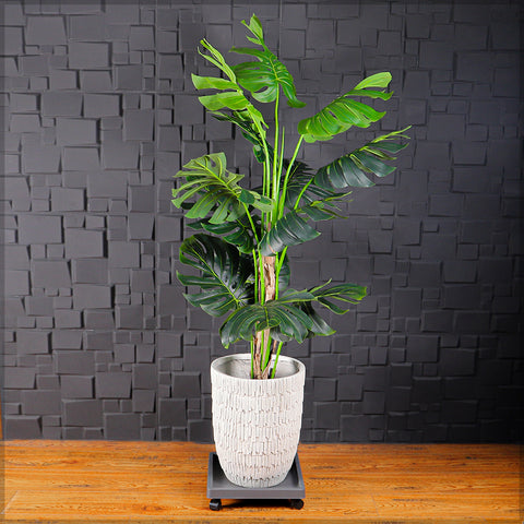 Square Plastic Plant Caddy with Wheels