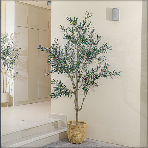 240cm Tall Artificial Olive Plant