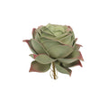 Artificial rose succulent plant with red and green leaves