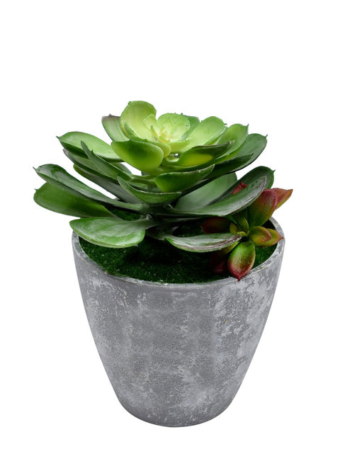 Artificial Succulent Plant Arrangements For Office Home Decor