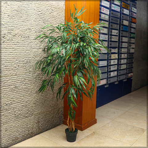 Close-up of a realistic ficus bamboo tree 1.7 m in a cozy corner