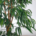 Artificial ficus bamboo for living room enhancing the interior style