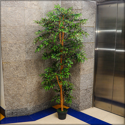 Faux ficus tree in a decorative pot