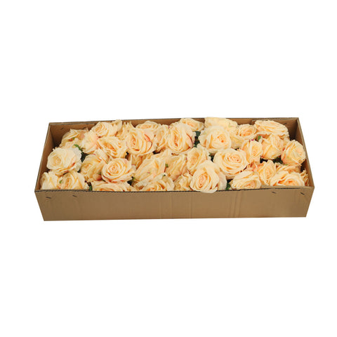 Silk Artificial Rose Flowers-FR-703New