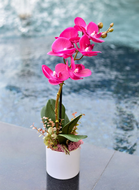 Real Touch Artificial Potted Orchid Flowers Fuchsia