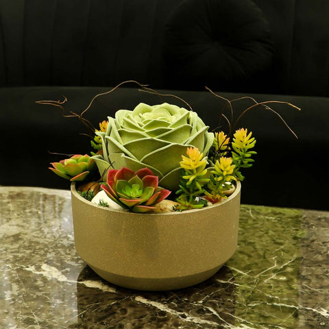 Lifelike green succulent plant