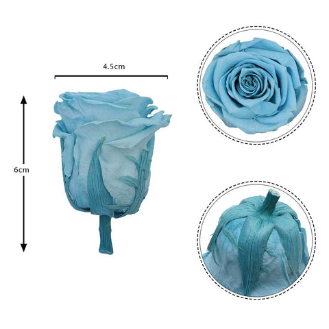 6CM Preserved Rose Flower