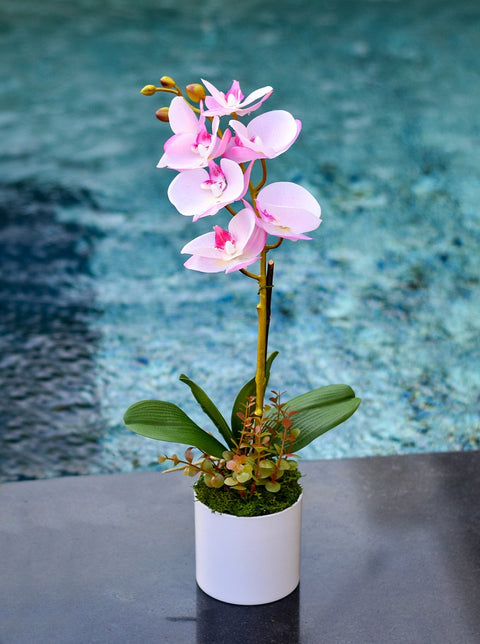 Real Touch Artificial Potted Orchid Flowers Pink