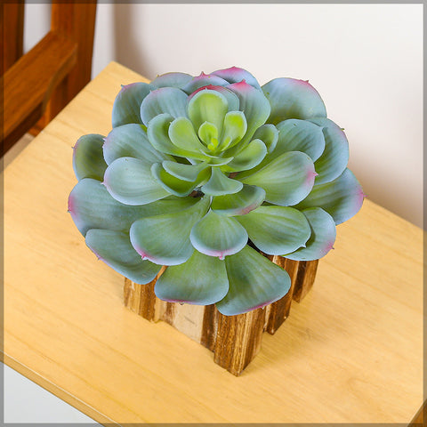 Large Echeveria Artificial Succulent