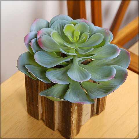 Large Echeveria Artificial Succulent