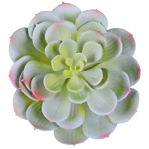 Large Echeveria Artificial Succulent