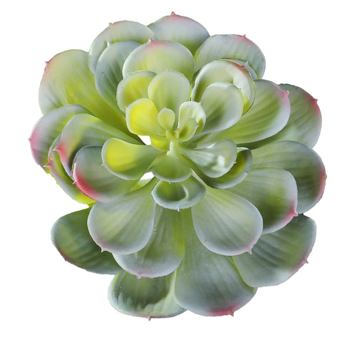 Large Echeveria Artificial Succulent