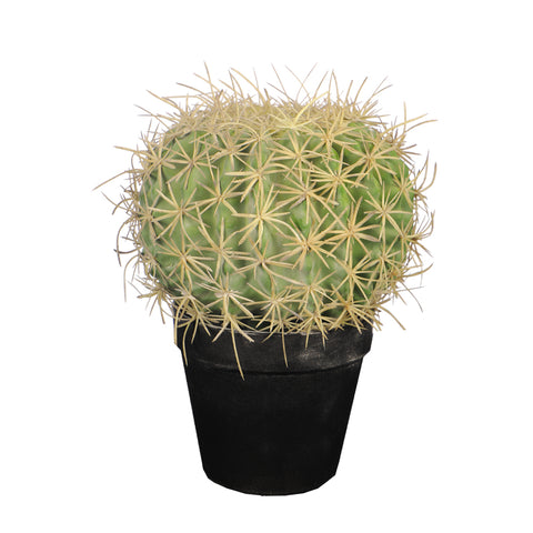 Synthetic barrel cactus for modern homes