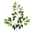 Nearly natural ficus leaf UV protected