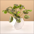 Decorative Fake Pilea Leaves for Vases and Planters