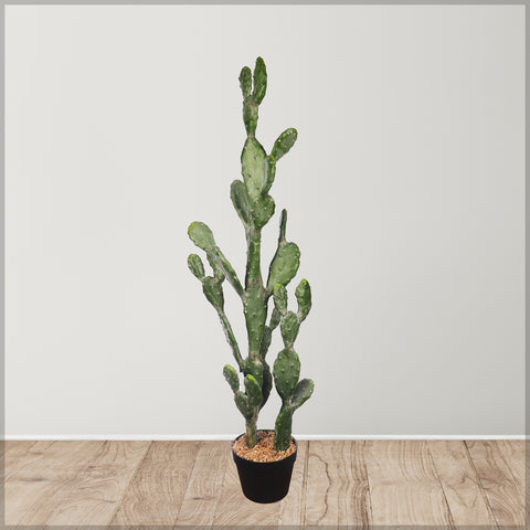 Potted Prickly Pear Cactus Plant