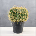 Artificial desert barrel cactus plant