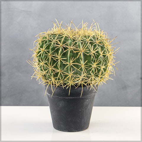 Artificial desert barrel cactus plant