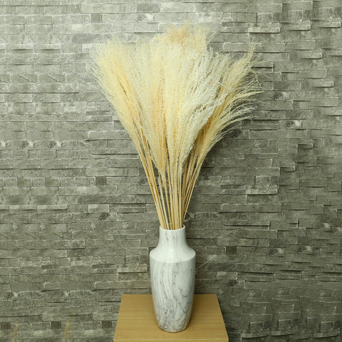 Natural Preserved Pampas Grass