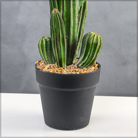 Lifelike small size saguaro cactus plant