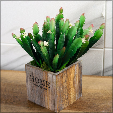 Faux cactus for modern décor