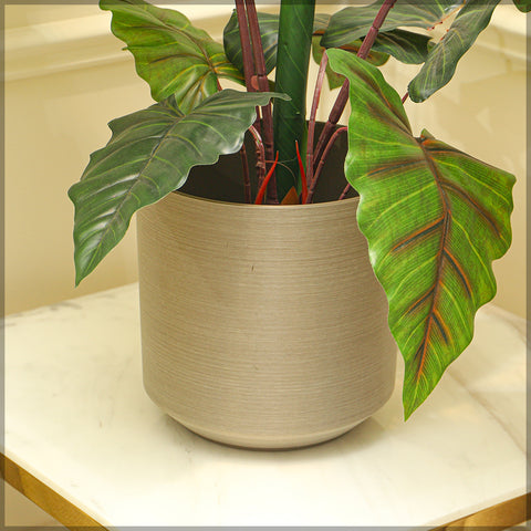 Durable plastic pots for modern decor