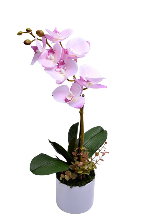 Real Touch Artificial Potted Orchid Flowers Pink