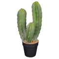 Realistic small artificial cactus