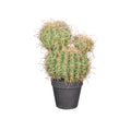 Realistic Artificial Potted Cactus