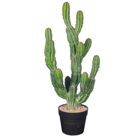 Artificial Small Potted Cactus Plant