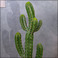 Artificial potted cactus for indoor decoration