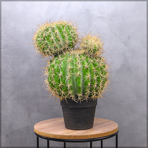 Artificial Potted Cactus Ball