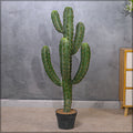 Decorative fake cactus for living room